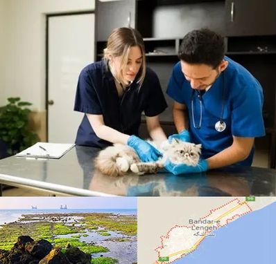 دامپزشکی سیار در بندرلنگه