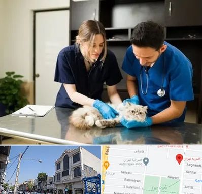 دامپزشکی سیار در افسریه 