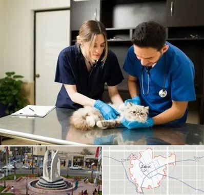 دامپزشکی سیار در زابل
