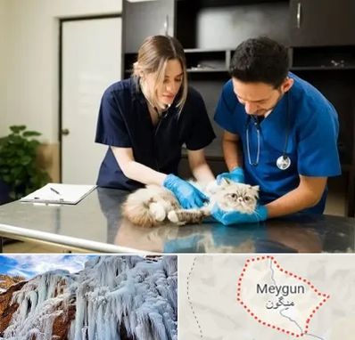 دامپزشکی سیار در میگون