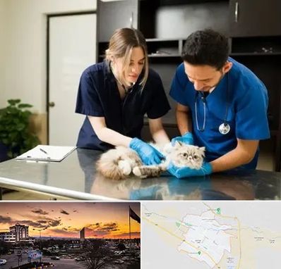 دامپزشکی سیار در قوچان