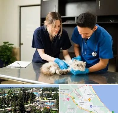 دامپزشکی سیار در رودسر