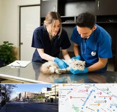 دامپزشکی سیار در خیابان ملاصدرا شیراز