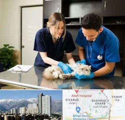 دامپزشکی سیار در شهرک غرب 