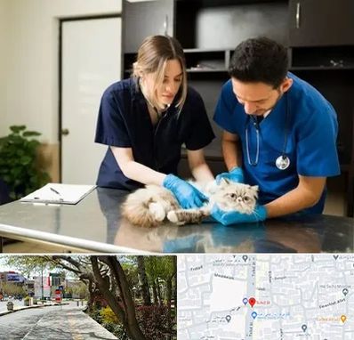 دامپزشکی سیار در خیابان توحید اصفهان