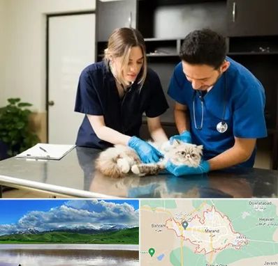 دامپزشکی سیار در مرند