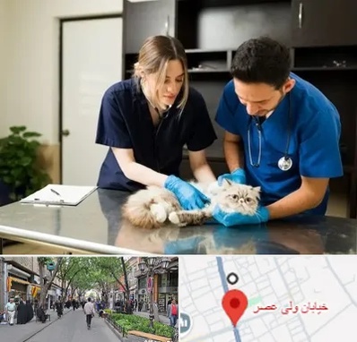 دامپزشکی سیار در ولیعصر شهریار