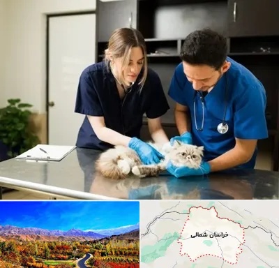 دامپزشکی سیار در خراسان شمالی
