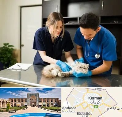 دامپزشکی سیار در کرمان