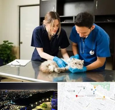 دامپزشکی سیار در هفت تیر مشهد 