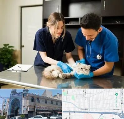 دامپزشکی سیار در بلوار ابوذر