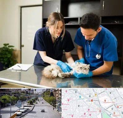 دامپزشکی سیار در خیابان زند شیراز