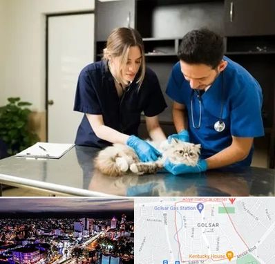 دامپزشکی سیار در گلسار رشت 