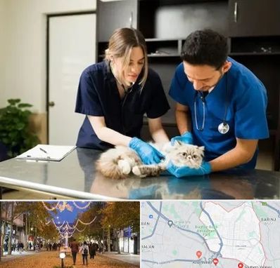 دامپزشکی سیار در ولیعصر ارومیه