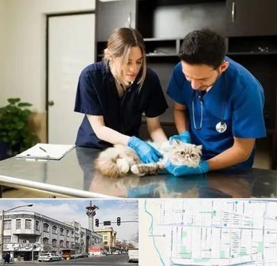 دامپزشکی سیار در 17شهریور