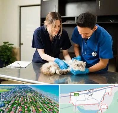 دامپزشکی سیار در نور