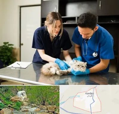 دامپزشکی سیار در کردان