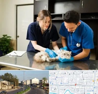 دامپزشکی سیار در ضیابری رشت