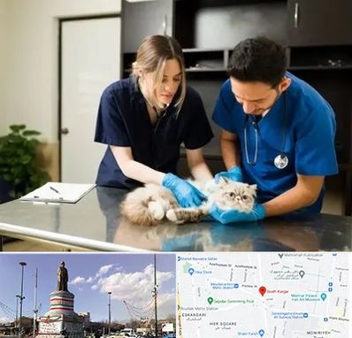 دامپزشکی سیار در کارگر جنوبی 