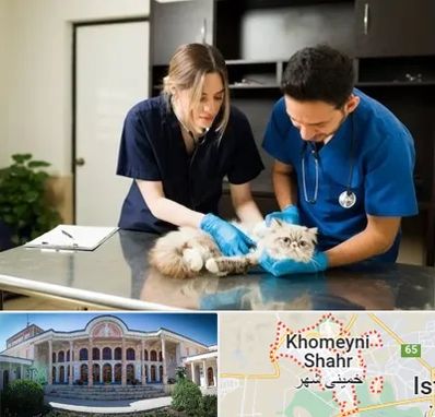 دامپزشکی سیار در خمینی شهر