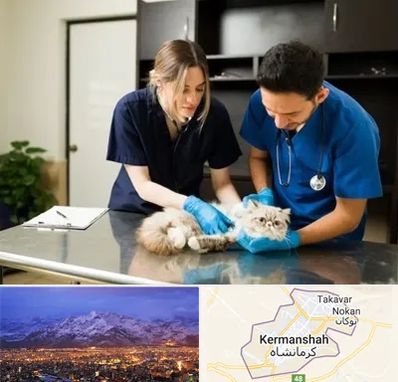 دامپزشکی سیار در کرمانشاه