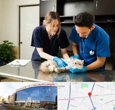 دامپزشکی سیار در نصف راه تبریز