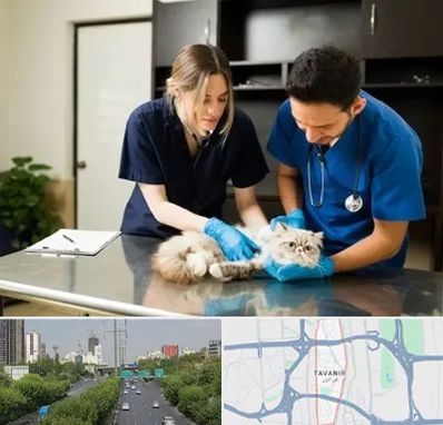 دامپزشکی سیار در توانیر