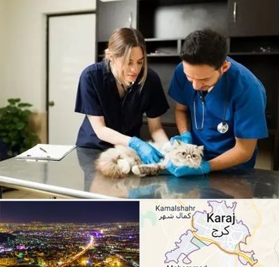 دامپزشکی سیار در کرج