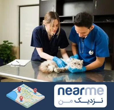 دامپزشکی سیار در نزدیک من