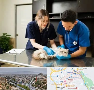 دامپزشکی سیار در معالی آباد شیراز