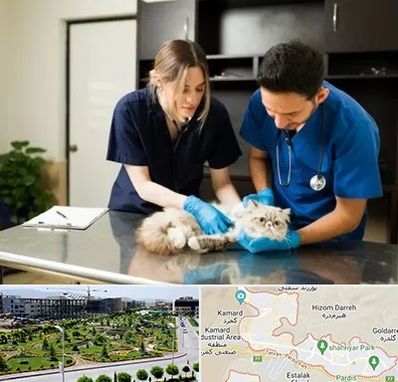 دامپزشکی سیار در پردیس