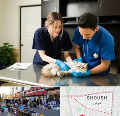 دامپزشکی سیار در شوش