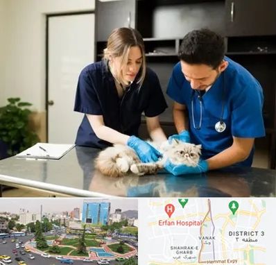 دامپزشکی سیار در ونک 