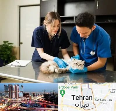 دامپزشکی سیار در صادقیه 