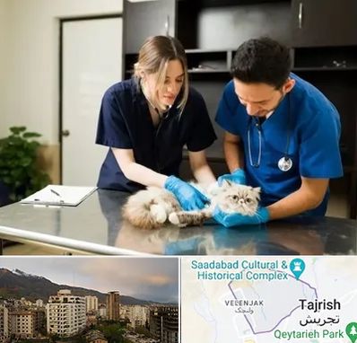 دامپزشکی سیار در زعفرانیه 