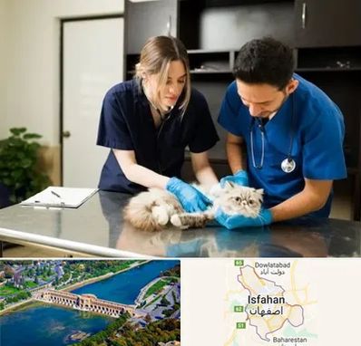 دامپزشکی سیار در اصفهان
