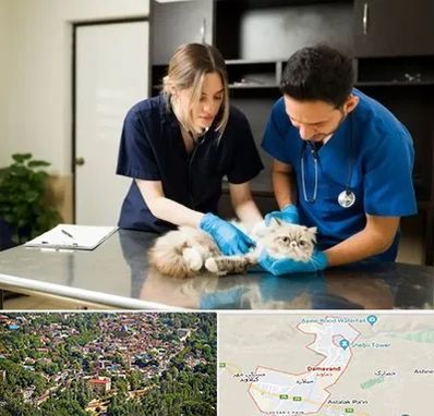 دامپزشکی سیار در دماوند