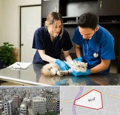دامپزشکی سیار در آذری