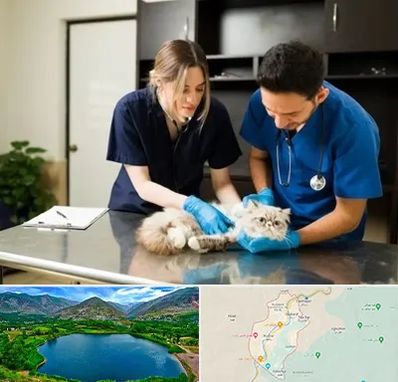 دامپزشکی سیار در رودبار