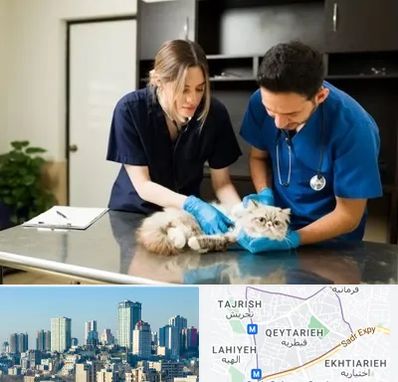 دامپزشکی سیار در قیطریه 