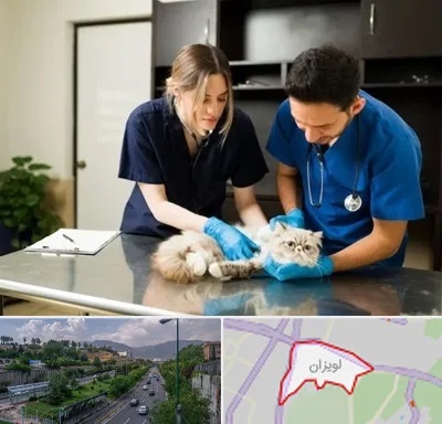 دامپزشکی سیار در لویزان