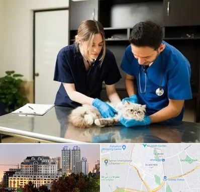 دامپزشکی سیار در فرشته 