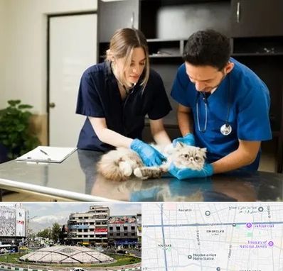 دامپزشکی سیار در مرکز تهران