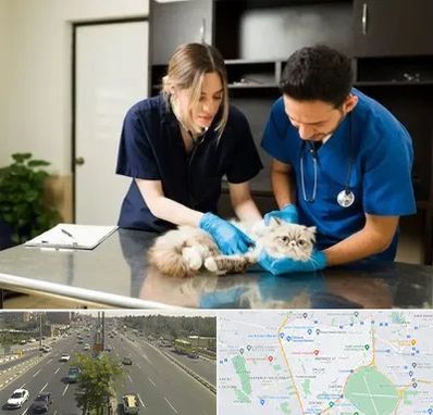 دامپزشکی سیار در منطقه 17 تهران 