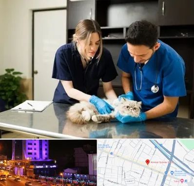 دامپزشکی سیار در آبرسان تبریز