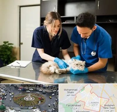 دامپزشکی سیار در فردیس کرج 
