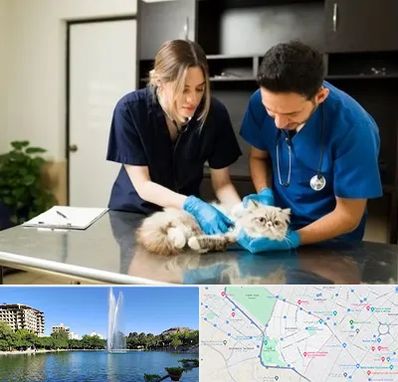 دامپزشکی سیار در کوهسنگی مشهد