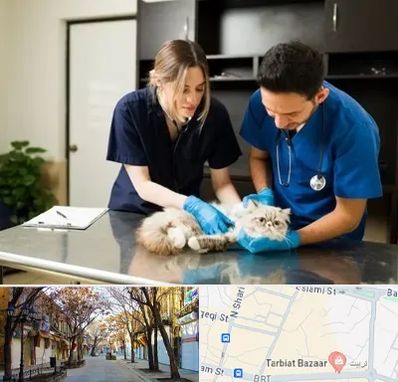 دامپزشکی سیار در تربیت تبریز