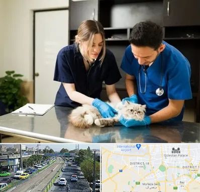 دامپزشکی سیار در جنوب تهران 