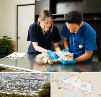 دامپزشکی سیار در یاسوج